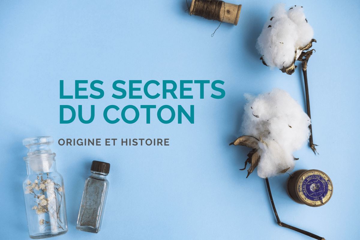 Les Secrets du Coton : Origine et Histoire