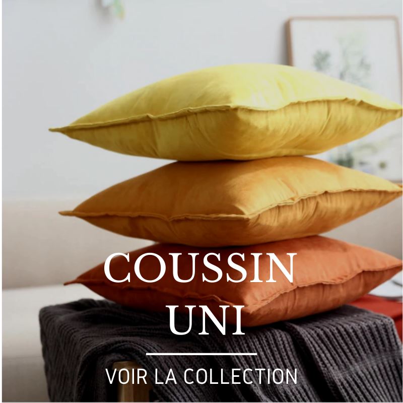 Coussin Uni