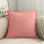 Coussin Velours Rose