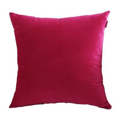 Coussin Velours Framboise