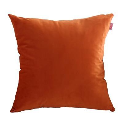 Coussin Velours Bordeaux