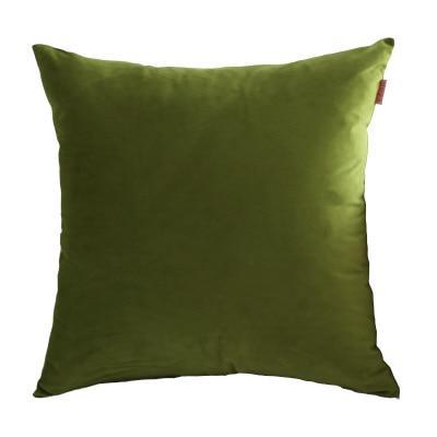 Coussin Velours Vert Amande