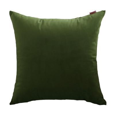 Coussin Velours Vert