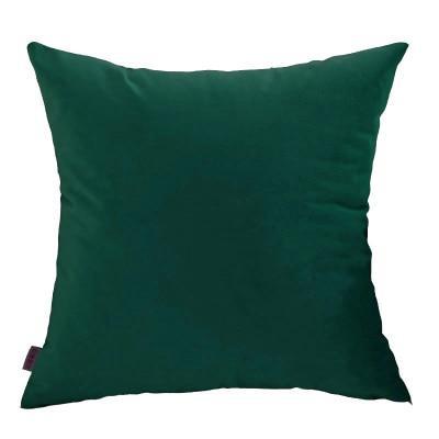 Coussin Velours Vert Celadon