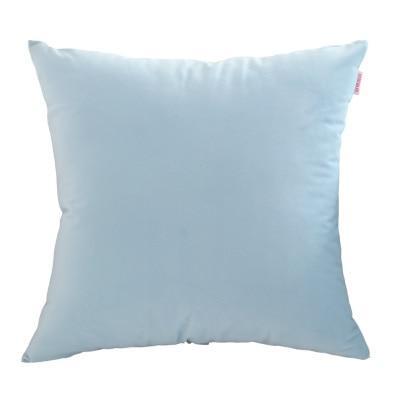 Coussin Velours Bleu Ciel