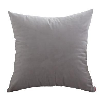 Coussin Velours Taupe