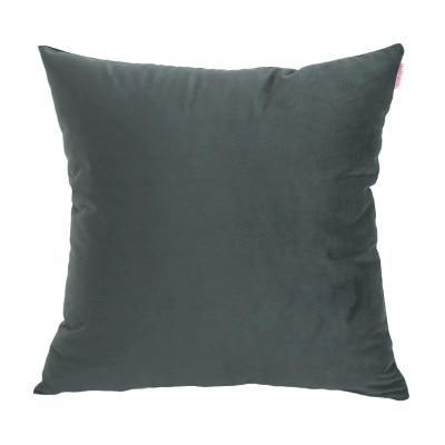 Coussin Velours Gris