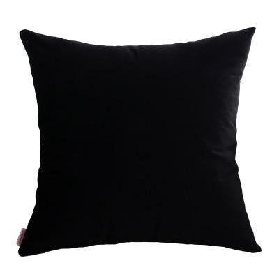 Coussin Velours Noir