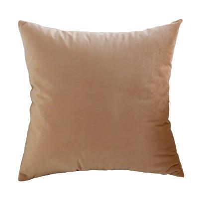 Coussin Velours Beige